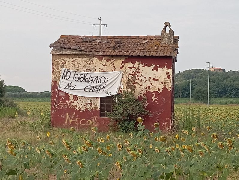 Non al posto del grano