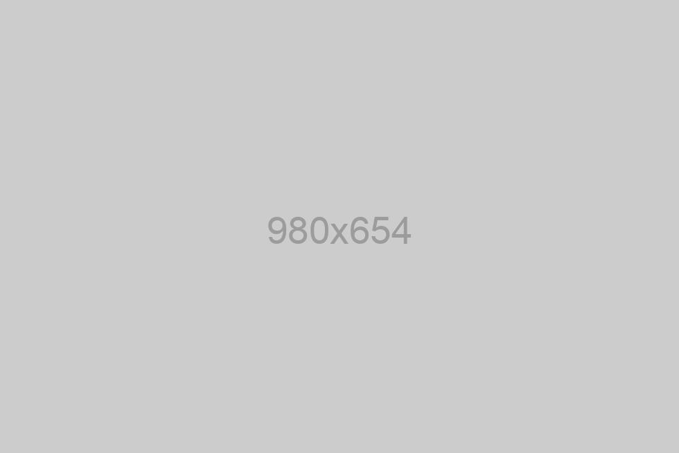 Integer vitae odio non erat tristique sollicitudin